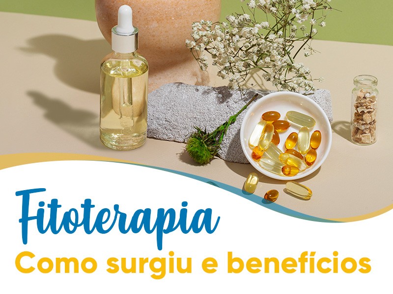 Como surgiu a Fitoterapia? Entenda os benefícios e a ciência das plantas medicinais